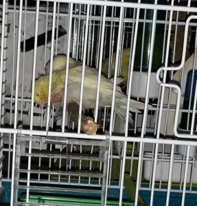 20190717_225615.jpg