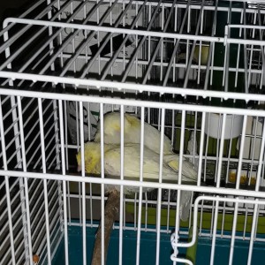 20190717_225549.jpg