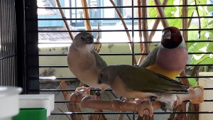 20190820_102634.jpg