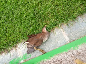 IMG_20190909_163546.jpg
