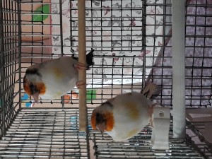 20190914_182457[1].jpg