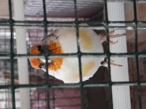 20190914_182251[1].jpg