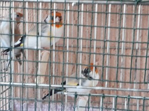 20190914_182354[1].jpg