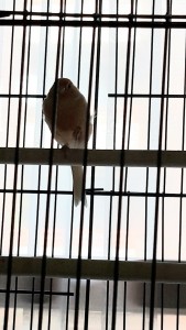 20190918_152354.jpg