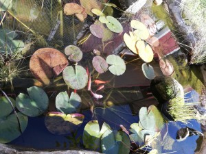 IMG_20191109_112010.jpg