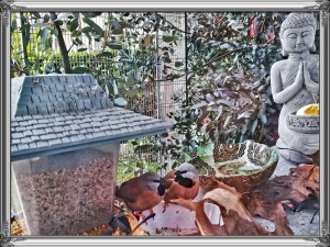 2019-11-15-15-56-26.jpg