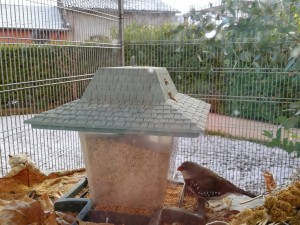 IMG_20191213_153130.jpg