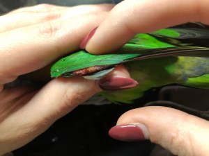 746ABB82-4511-45AD-A6CF-A7F5C8F9E9B4.jpeg