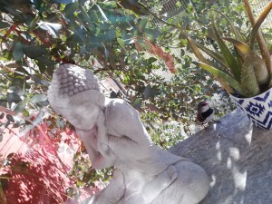 IMG_20200129_114843.jpg