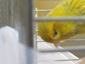 IMG_20200221_113907.jpg