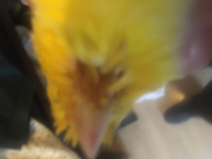 7865B5F7-E9D9-46A9-A96E-BEAAEC208179.jpeg