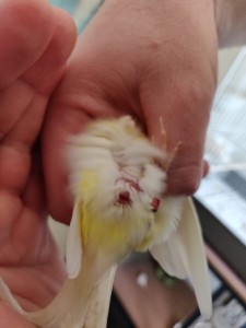 WhatsApp Image 2020-03-28 at 2.20.30 PM.jpeg