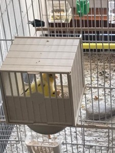 WhatsApp Image 2020-04-02 at 1.52.57 PM.jpeg