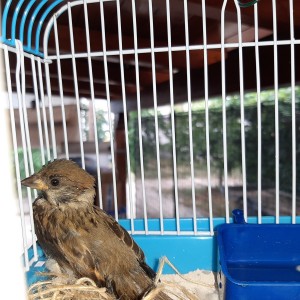 2020-07-03 14.15.10.jpg