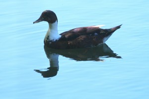 IMG_4188.jpg