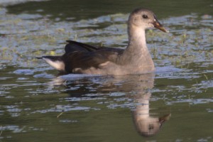 IMG_4734.jpg