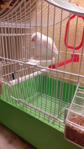 WhatsApp Image 2020-07-31 at 21.58.53.jpeg