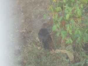 DSCN1463.JPG