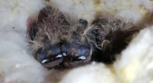 IMG_20201007_134104.jpg