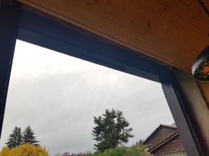 20201029_155532.jpg