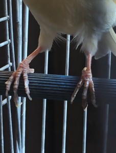 B478E3AC-38AF-4754-A15A-61640C72EF63.jpeg