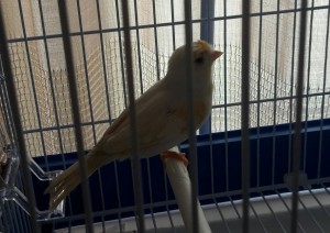 WhatsApp Image 2020-12-02 at 09.09.01.jpeg