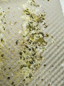 IMG_20201204_161654.jpg