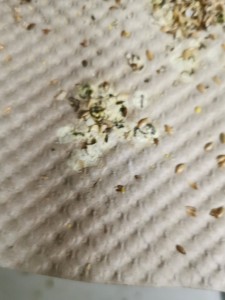 IMG_20201204_161711.jpg