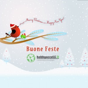 Auguri di buone feste