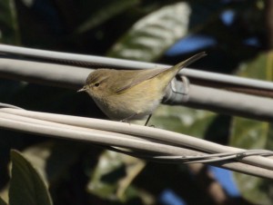 IMG_6168.jpg