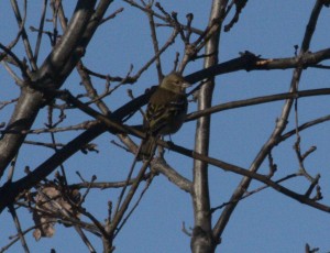 IMG_6097.jpg