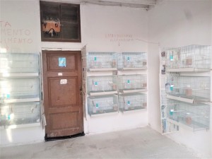 Una piccola foto del mio allevamento , qui' si vedono solo alcune gabbie