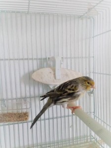 20210105_135658 (2).jpg