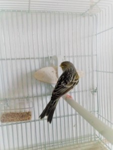 20210105_135712 (2).jpg