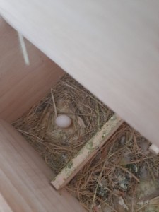 WhatsApp Image 2021-01-23 at 12.07.35.jpeg