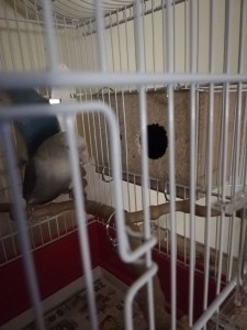 photo_2021-02-10_19-46-42 (2).jpg