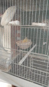 IMG-20210304-WA0004.jpg