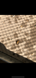 1D47EA35-4C6D-4F47-A229-F89203BA12A0.png