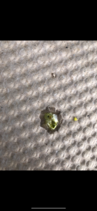 E769B8E8-3383-4EE6-A385-326220B4D400.png