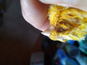IMG_20210315_074212.jpg