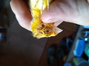 IMG_20210315_074204.jpg