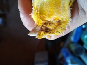 IMG_20210315_074216.jpg