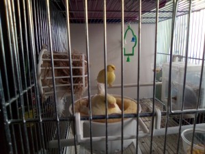 IMG_20210317_132253.jpg