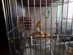 IMG_20210317_132255.jpg