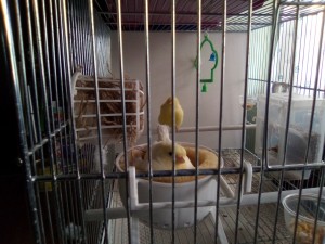 IMG_20210317_132258.jpg