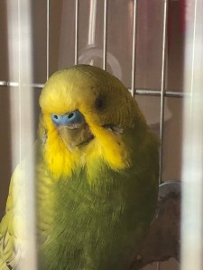 WhatsApp Image 2021-03-26 at 10.34.38.jpeg