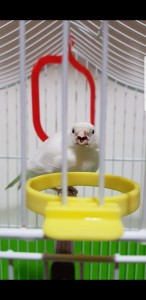 WhatsApp Image 2021-05-18 at 18.23.33.jpeg