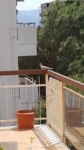 WhatsApp Image 2021-05-14 at 11.25.08.jpeg