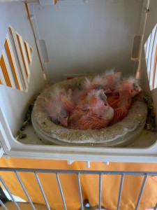 photo_2021-05-26 13.04.26.jpeg