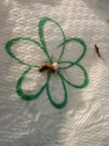 IMG_20210605_081615.jpg